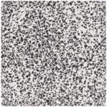 Terrazzo Tiles