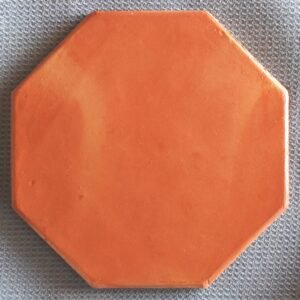 Octagon Terracotta Floor and Wall Tiles Pakistan