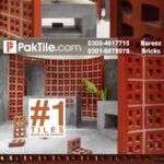 Bareez bricks price