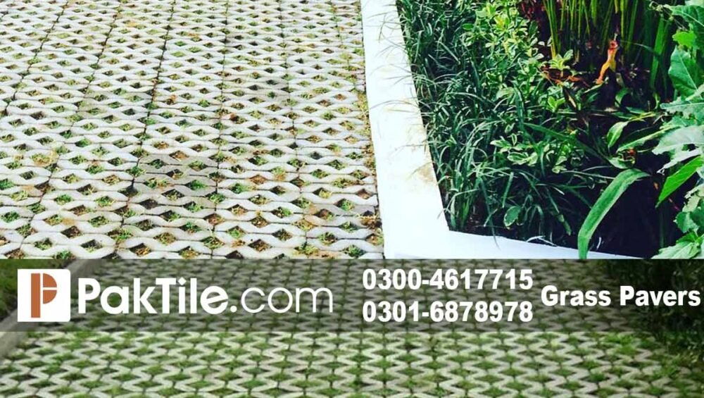 Grass Paver